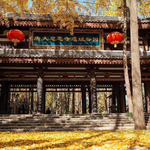 大慈恩寺新