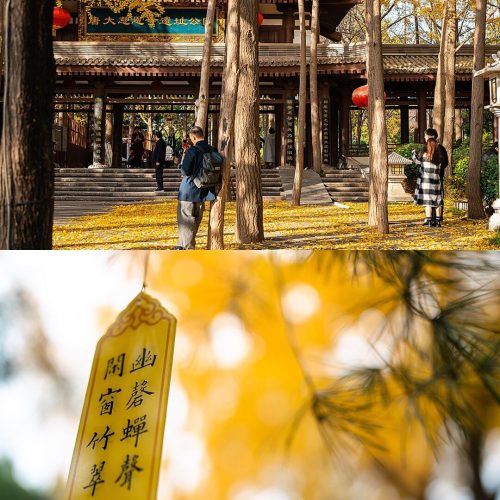 大慈恩寺新2