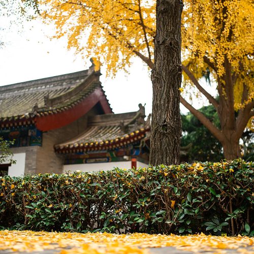 大慈恩寺新3