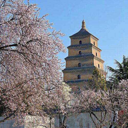 大雁塔4